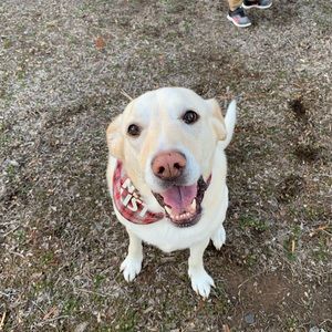 Meet your Posher, Logan